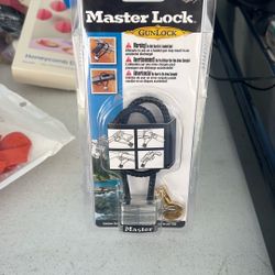 Gun Locks