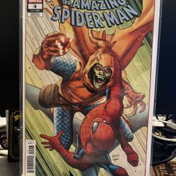 THE AMAZING SPIDER-MAN #4 | 1:25 RATIO | GREG LAND INCENTIVE 
