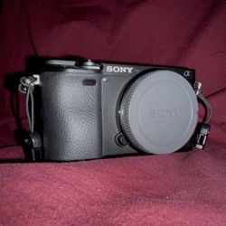 Sony a6400 - Sony 50mm f/1.8 OSS - Extras