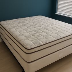 New King Mattress And Box Springs Bed Frame Is Not Included 