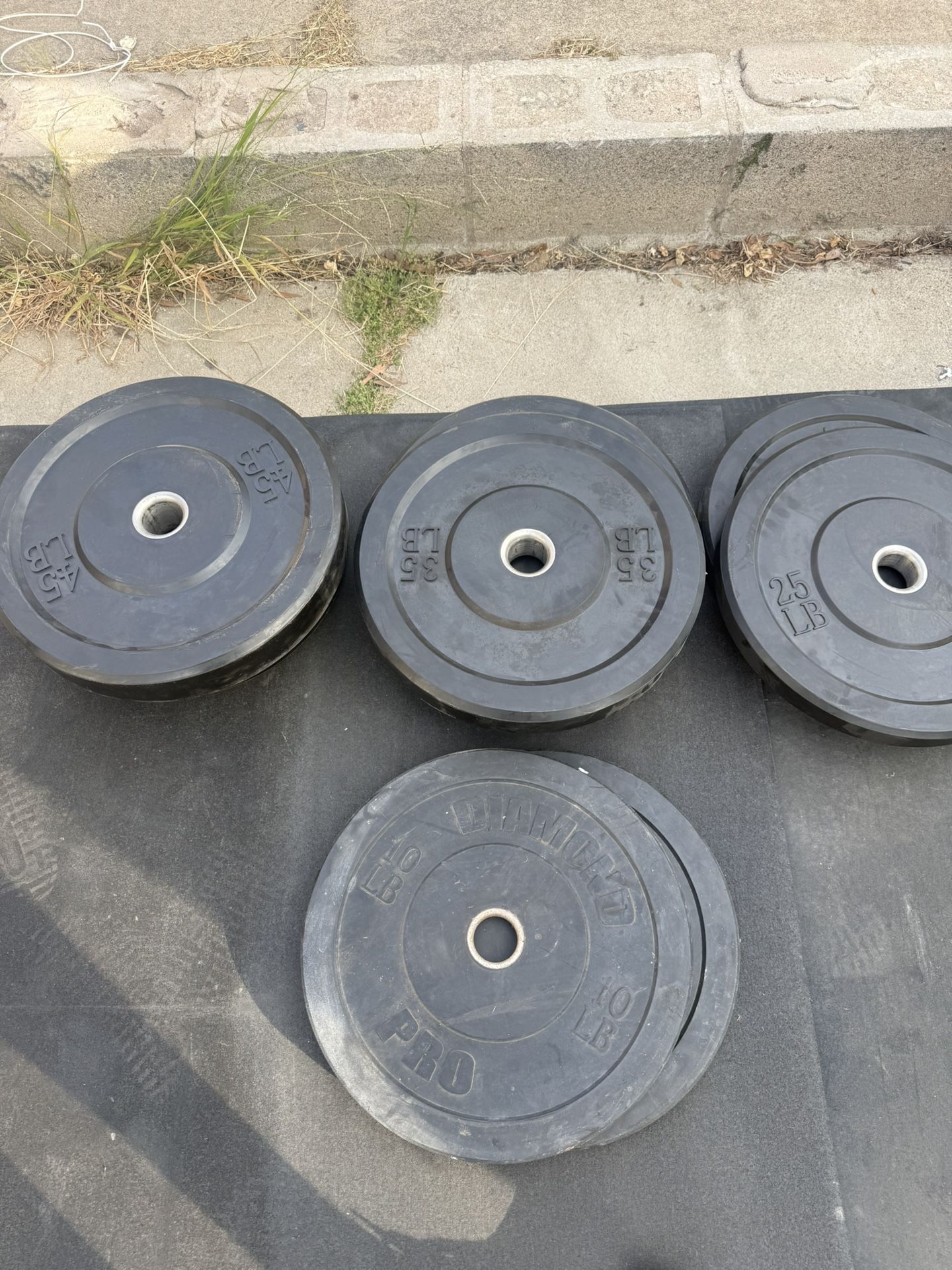 Olympic Bumper Plates