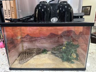 10 Gallon Reptile Tank with Zoo Med Dual Heat Lamp and Stand