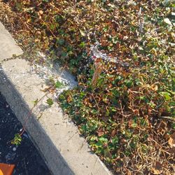 SPRINKLER ☆☆☆☆☆REPAIR 