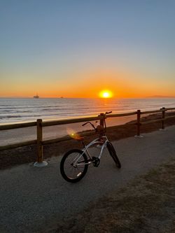 Beach Cruiser Electra