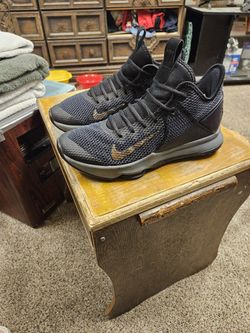 LeBron James Men's Nikes