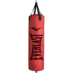 Everlast Punching Bag