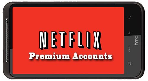 1 year Netflix Account