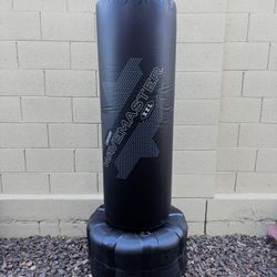 Punching bag 