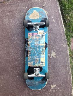 Complete Skateboard Thunder Lights Spitfire Wheels Quasi