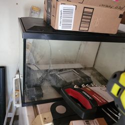 Glass Pet Aquarim