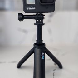 Go Pro 8