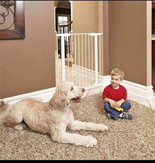 Pet Gate New 39 Inches Wide
