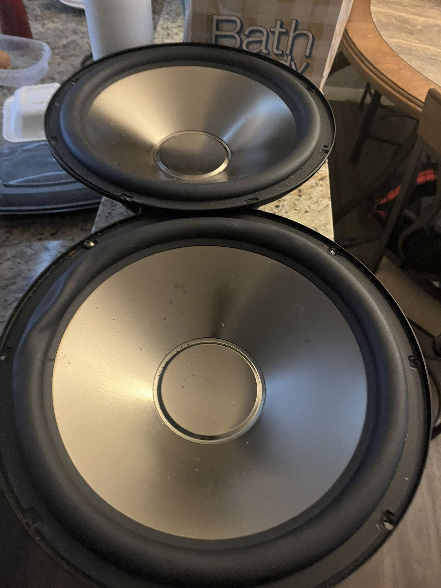 12in Replacement Speakers