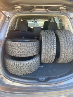 Evolution winter tires