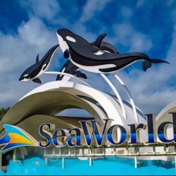 4 SeaWorld Tickets Child /adult