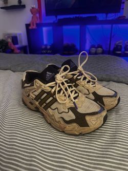 Adidas Bad bunny paso fino