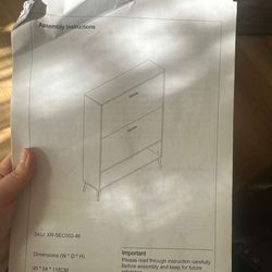 Modern Flip-Down Shoe Cabinet with 2 Compartments