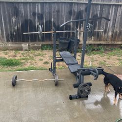 Bench With Curl Bar /Straight Bar
