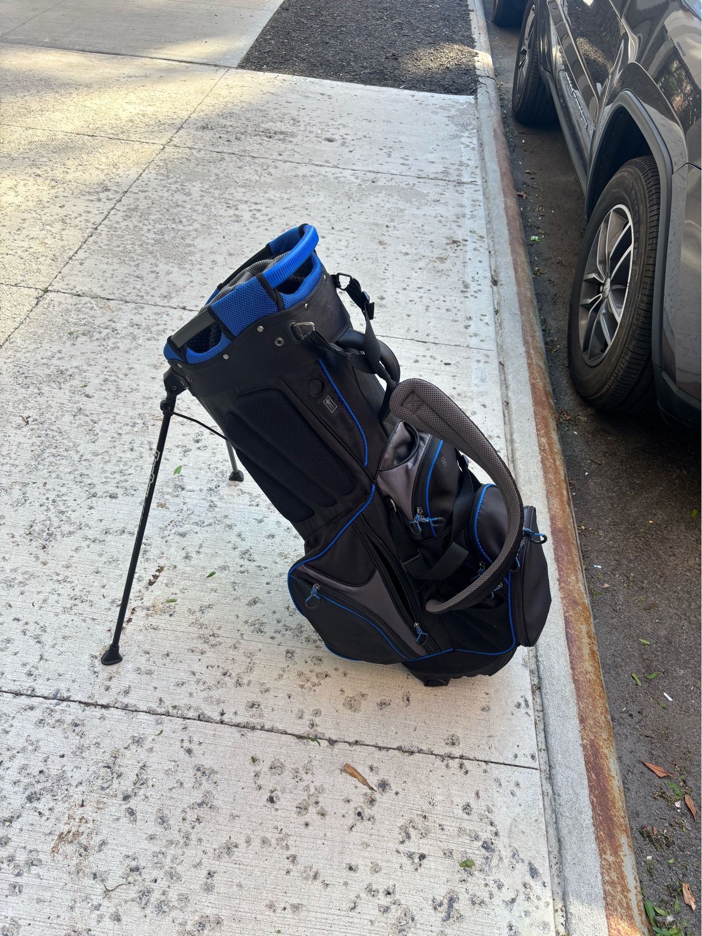 Golf Bag Bag Boy
