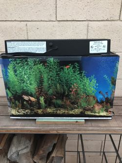 Fish tank