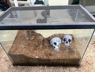 Reptile tank