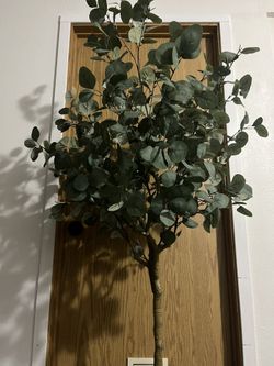 Artificial Eucalyptus Tree