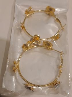 $25 Each Laminated Braziland 14kl 