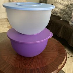 Tupperware Each 