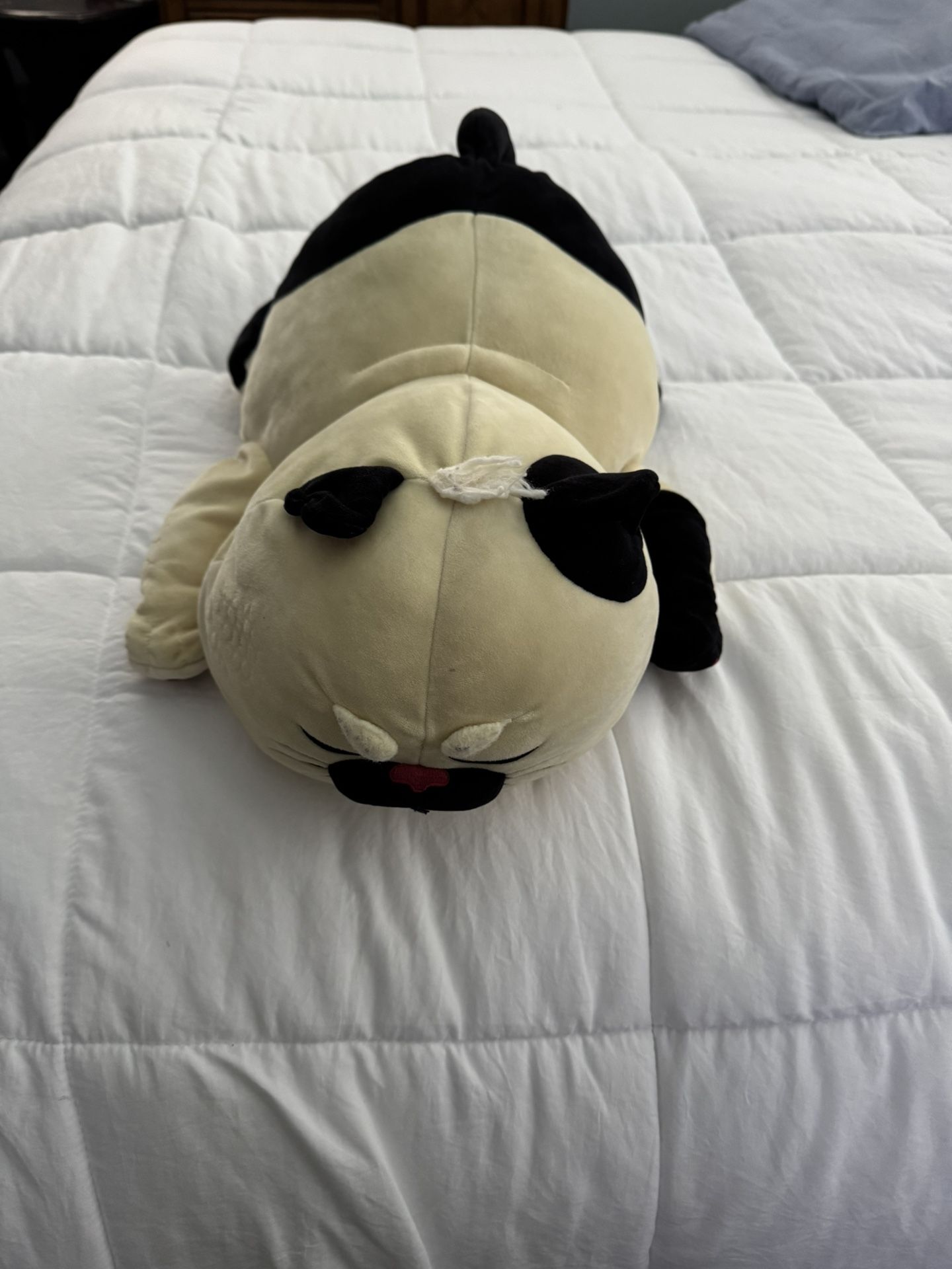 Disney Machiavelli The Cat From Luca