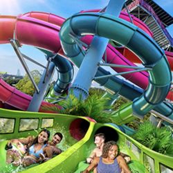 Aquatica 