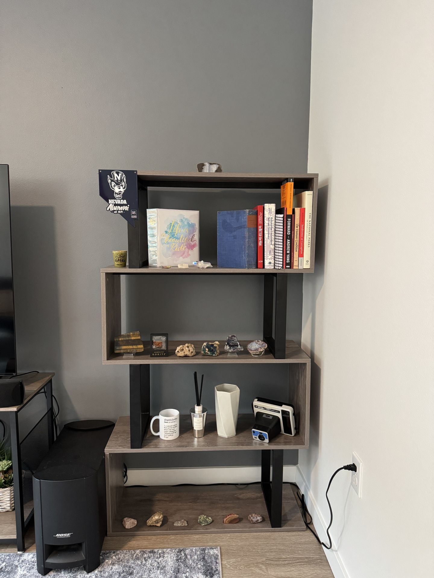 Modern 5-Tier Living Room Shelf