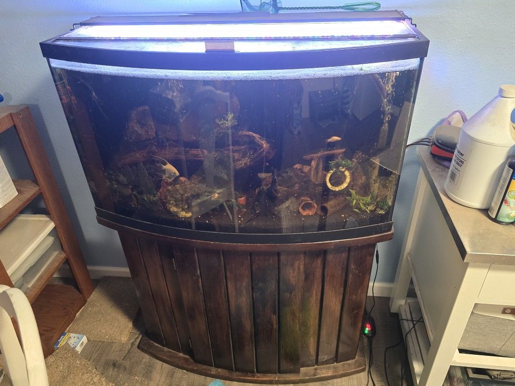 40 GL bow Front Fish Tank