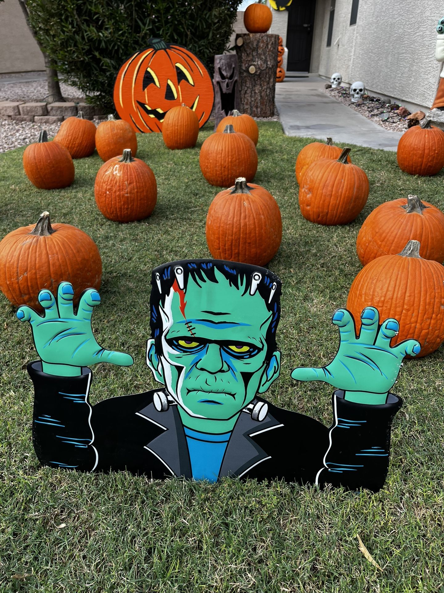 FREE PUMPKINS 