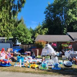 Yard Sale - Roy