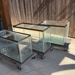 3 - Fish Aquariums 