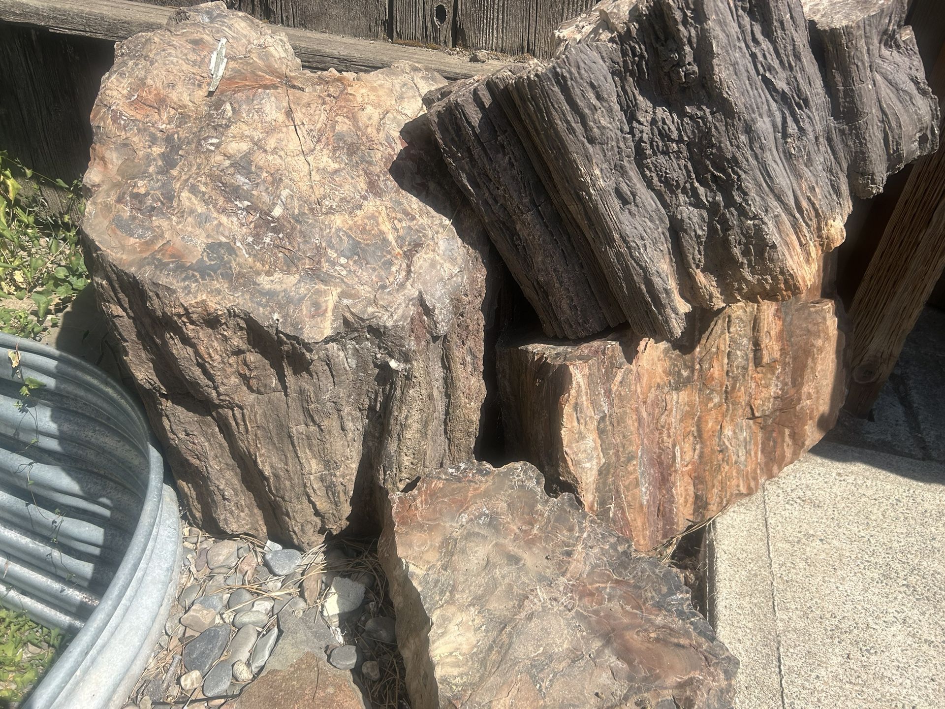 Black Petrified Wood From As