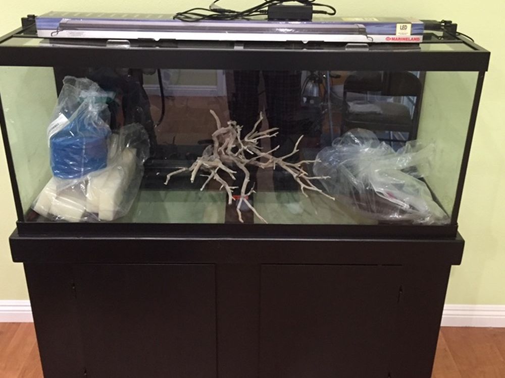 75 Gallon Fishtank With Stand +FX4 filter+ Accessories