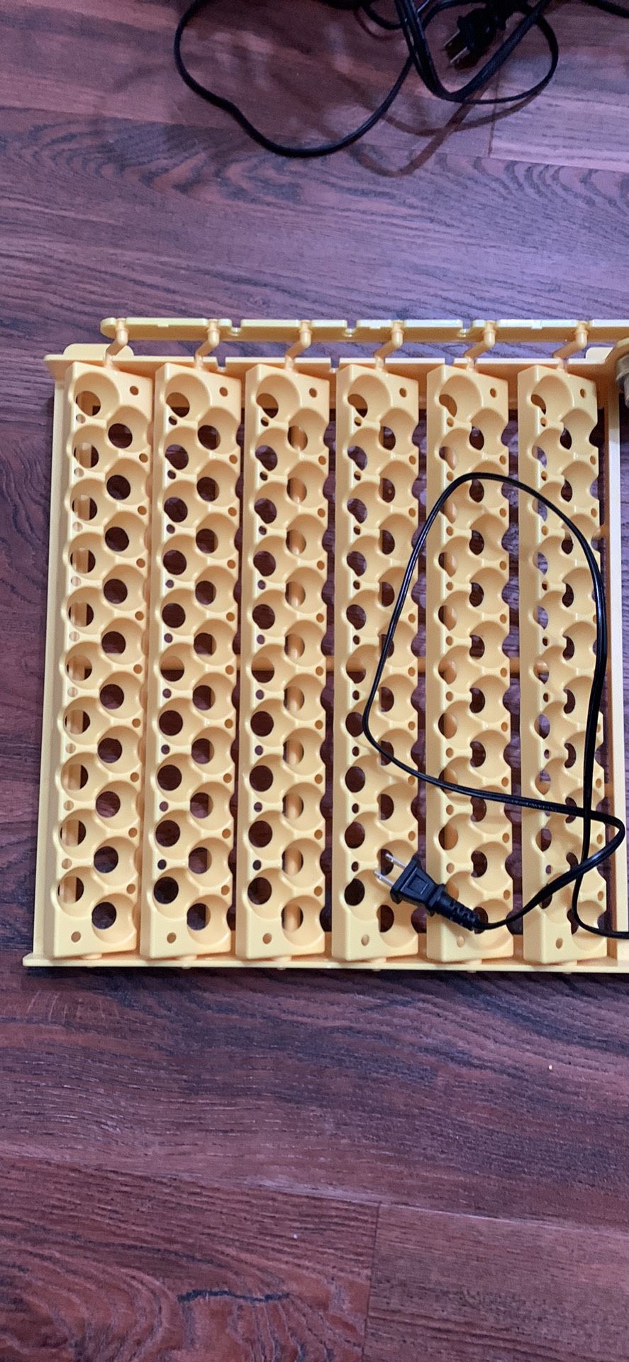 Automatic Quails/chickens Eggs Turner