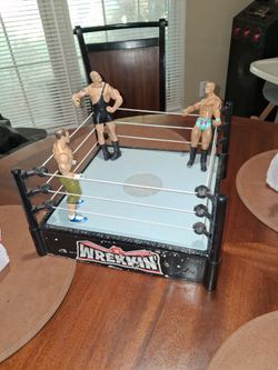 Wrestling figures and rings one figures just missing hand but still in good condition