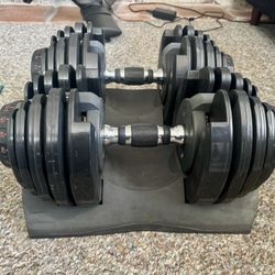 Bowflex Adjustable Dumbbell Set 
