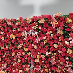Flower Wall Backdrops 