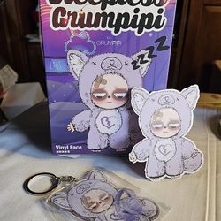 Sleepless Grumpipi bag is sealed confirmed blind box