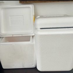 FREE 2 small styrofoam coolers w/icepacks