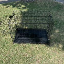 American Kennel Club 