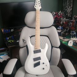 Harley benton guitar