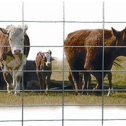 WIRE CATTLE PANELS