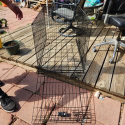 Dog Crate 