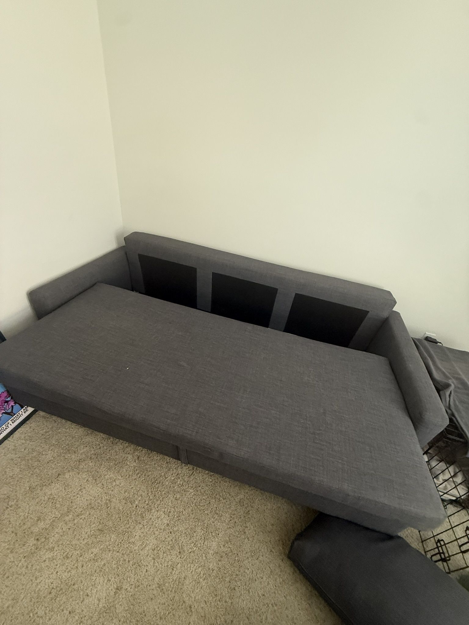Couch With Pull Out Bed