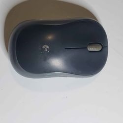 Logitech 2.4GZ Mini Mouse for Laptop/PC