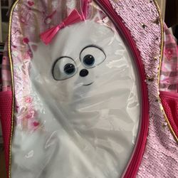 Girls Back Bag With Lunch Bag